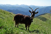 24 Piacevoli incontri